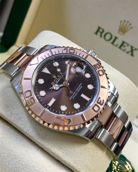 yacht master gold rolex price|rolex yacht master everose gold.